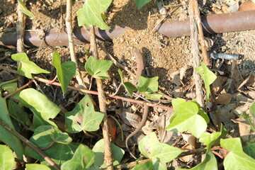 Испания. Культура Испании. Достопримечательности и природа Испании. Море