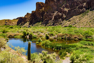 The Salt River in Arizona