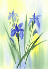 Violet iris flowers and leaves sketch watercolor background