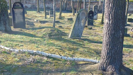 Pomniki na cmentarzu żydowskim w Żorach
