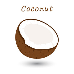 Half coconut on white background. Vector fresh tropical fruit.