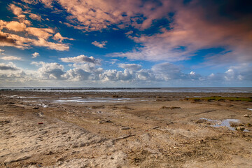 Beautiful view of the sea and breakwaters at low tide in Wierum in the Netherlands. The background is a blue sky with dramatic clouds.