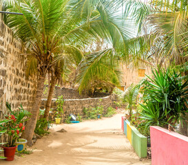 Colorful street of african village on NGor island with black lava stone masonry walls composed of various-shaped rocks and exotic plants