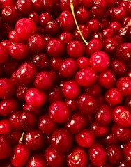 red cherries background