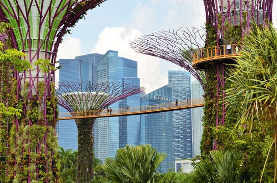 Singapore - May 6, 2016 : An view of Gardens by the Bay in front  of Singapore business centre