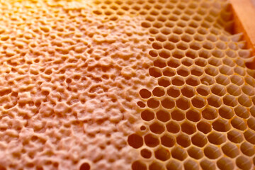 close up view of natural beeswax