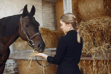 Woman standing near horse. Rider in a black uniform. Girl feeds horse hay