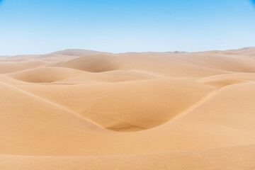 Fototapeta na wymiar Desert trip on Walvis Bay dunes in Namibia