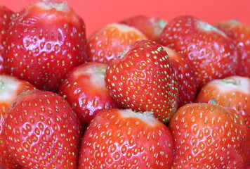 Fresh strawberries macro close up on red background