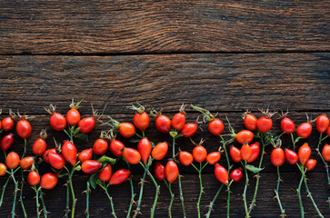 Dog rose, bunch branch Rosehips, types Rosa canina hips Medicinal plants herbs composition on white