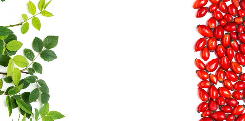 Dog rose, bunch branch Rosehips, types Rosa canina hips herbal Medicinal plants herbs composition on white