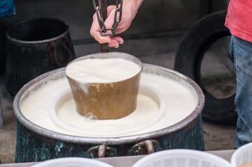 The making of tuma and ricotta cheese