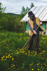 Adult bearded man with a scythe mows grass in his house on a meadow in a summer village