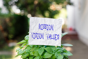 Conceptual hand writing showing Mission Vision Values. Concept meaning company business profile...