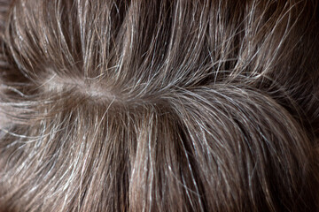 Going gray. Young woman shows her gray hair roots. selective focus.