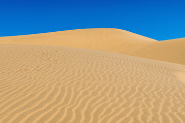 Desert trip on Walvis Bay dunes in Namibia
