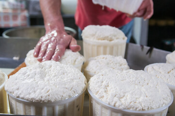 The making of tuma cheese: farmer filling containers with just made tuma cheese