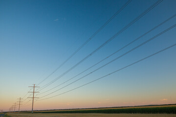 Corn and Electricity
