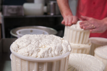 The making of tuma cheese: farmer filling containers with just made tuma cheese