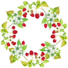Wreath with raspberries on a white background. Watercolor illustration.