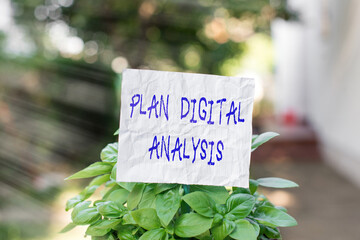 Conceptual hand writing showing Plan Digital Analysis. Concept meaning sales data and economic...