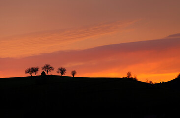 Fototapeta na wymiar Beautiful sunrise photo from reverse angle. Trees are in silhouette and orange sky.