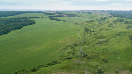Obraz premium bird's-eye view of a green field