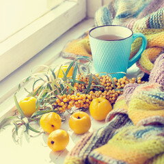 Cup of herbal tea, quince fruits, sea-buckthorn and knitted blanket on windowsill.
