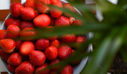 strawberries in the market