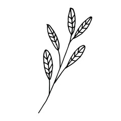Fototapeta premium Branch with leaves on white background vector illustration. Doodle style. Design icon, print, logo, poster, symbol, decor, textile, paper, card.