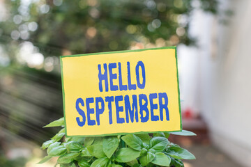 Writing note showing Hello September. Business concept for greeting used in commemorating the ninth...