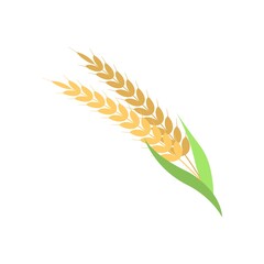 Wheat ears icon in flat design style. Oats harvest, crop symbol.