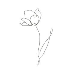 Continuous line decorative hand drawn tulip flower, design element. Can be used for cards, invitations, banners, posters, print design