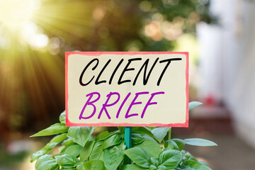 Text sign showing Client Brief. Business photo text the document granted by clients which contain...