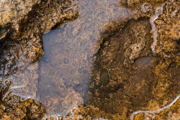 Abstract stone texture in water