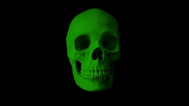 Green Skull Talking Loop - Front View