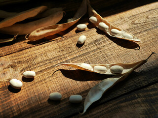 white kidney beans on wooden background. Dried organic harvest of white beans