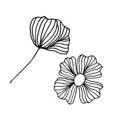 Very beautiful flower hand-drawn, black and white drawing on a white background. Hand drawn flower isolated on white. Black and white vector floral illustration.