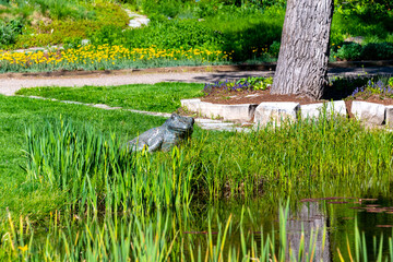 Fototapeta na wymiar Decorative Frog next to a Lake in Steamboat Springs Botanical Garden