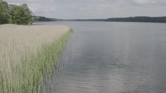 Fly along lakeshore, 4k unedited Dlog-M flat profile footage