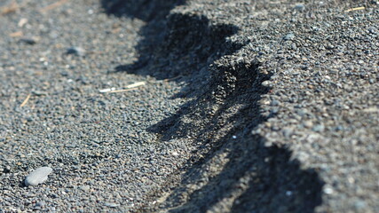 Grey stone miniature cliff macro close-up on pebble beach, Napier, NZ