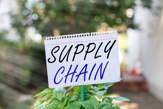 Text sign showing Supply Chain. Business photo showcasing Aspects of smart modern company management logistics processes Plain empty paper attached to a stick and placed in the green leafy plants - Powered by Adobe
