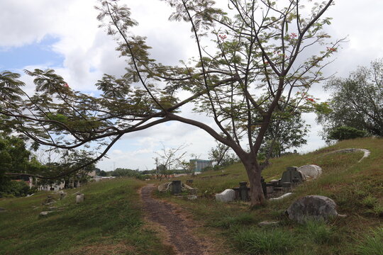 Cimetière Bukit Cina à Malacca, Malaisie	