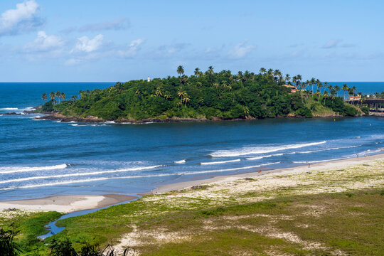 Brazil. Ilheus. Beach. Cristo beach is one of the many beaches in Ilheus. Here you can see the exotic coconut palm trees and vegetation typical of the Atlantic forest.