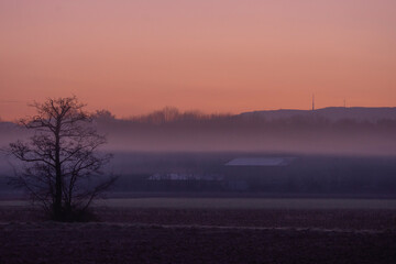 Nebelschwaden in der Morgenröte