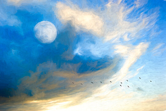 Daytime Sky Moon Birds