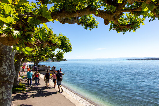 Spaziergang am See, Konstanz am Bodensee im Sommer