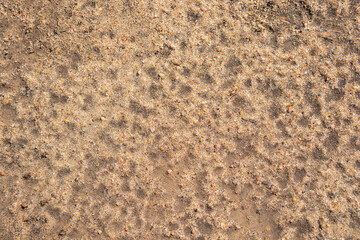 Texture of earth and sand and small stones after rain.