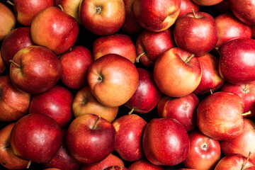 tas de pomme à manger