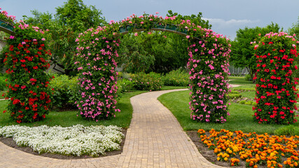 flower garden in the park